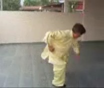 &ldquo;Shaolin