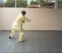 &ldquo;Shaolin