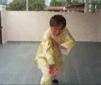 &ldquo;Shaolin