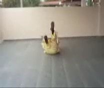 &ldquo;Shaolin