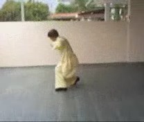 &ldquo;Shaolin