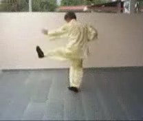 &ldquo;Shaolin