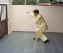 &ldquo;Shaolin