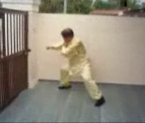 &ldquo;Shaolin