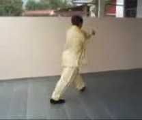 &ldquo;Shaolin