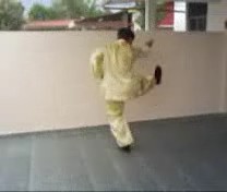 &ldquo;Shaolin