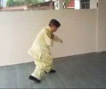 &ldquo;Shaolin