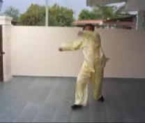 &ldquo;Shaolin