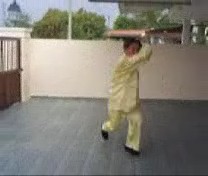 &ldquo;Shaolin