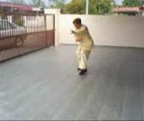 &ldquo;Shaolin