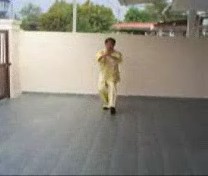 &ldquo;Shaolin