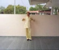 &ldquo;Shaolin