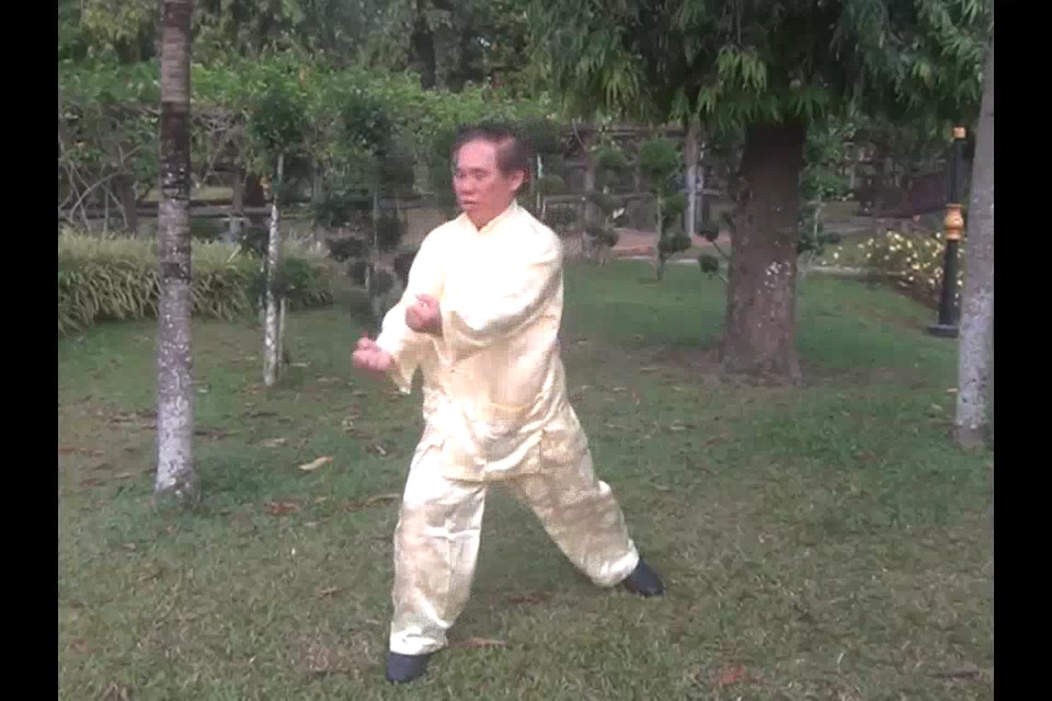 108Pattern TigerCrane Set in Picture Series