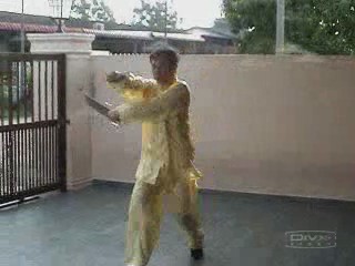 &ldquo;Bitterfly