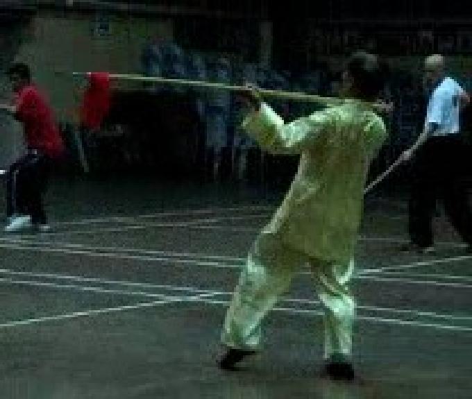 Traveling Dragon Thirteen-Technique Spear
