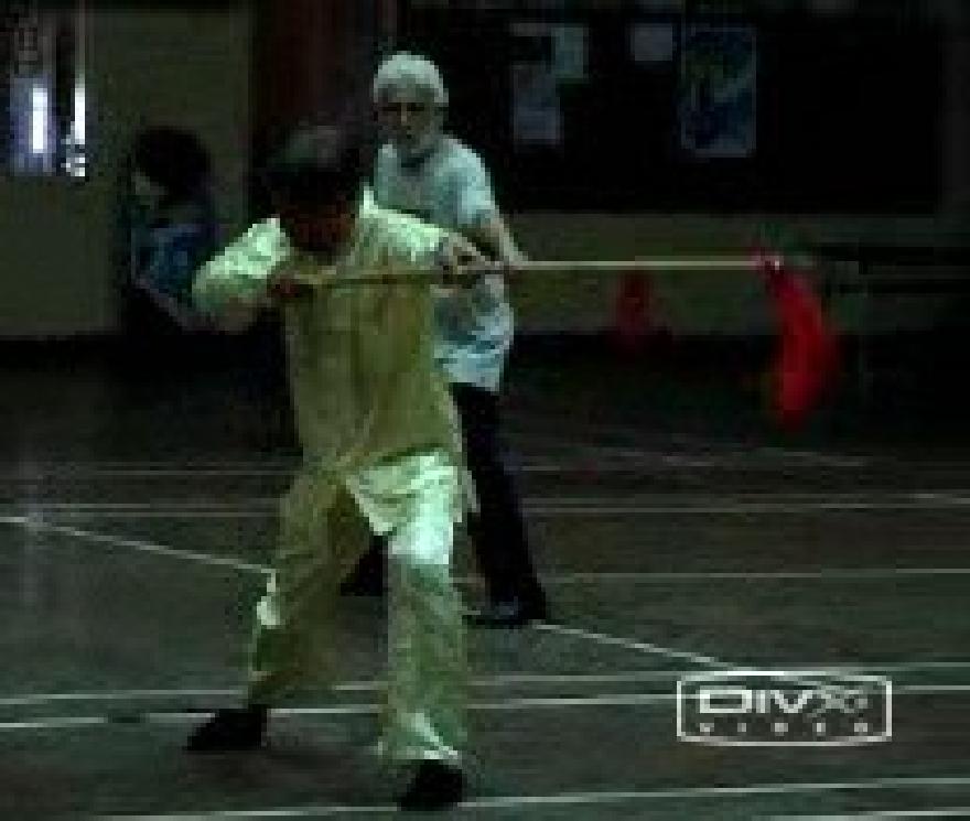 Traveling Dragon Thirteen-Technique Spear