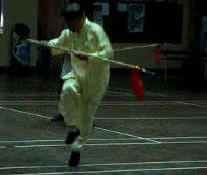 Traveling Dragon Thirteen-Technique Spear