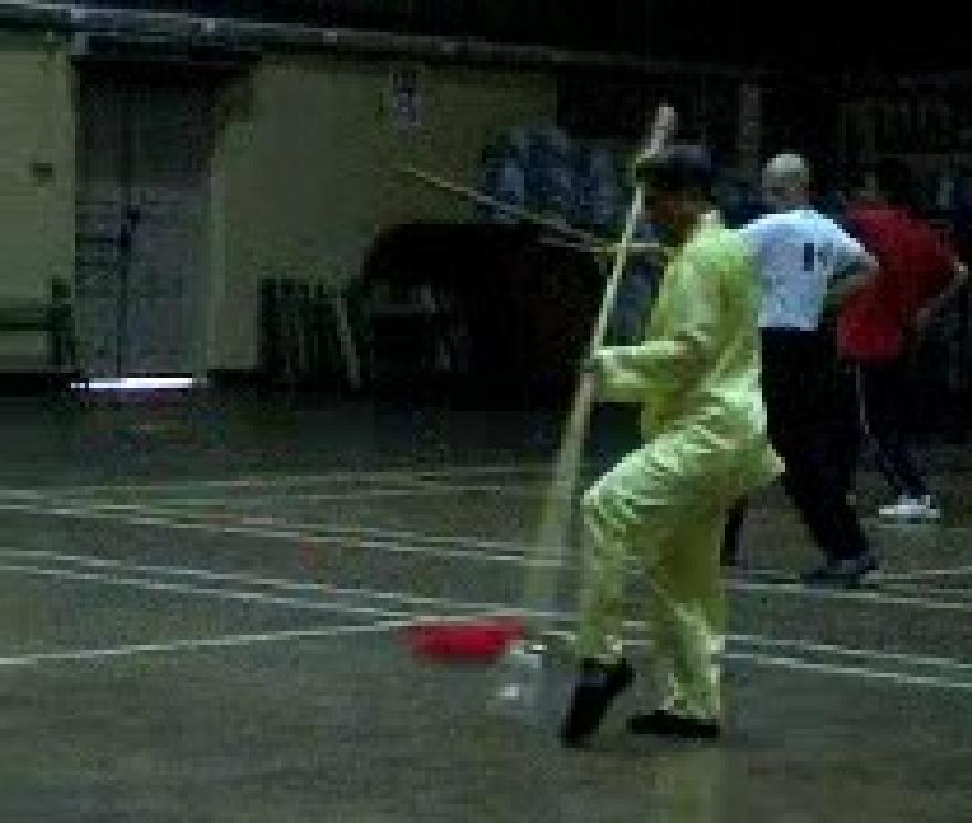 Traveling Dragon Thirteen-Technique Spear