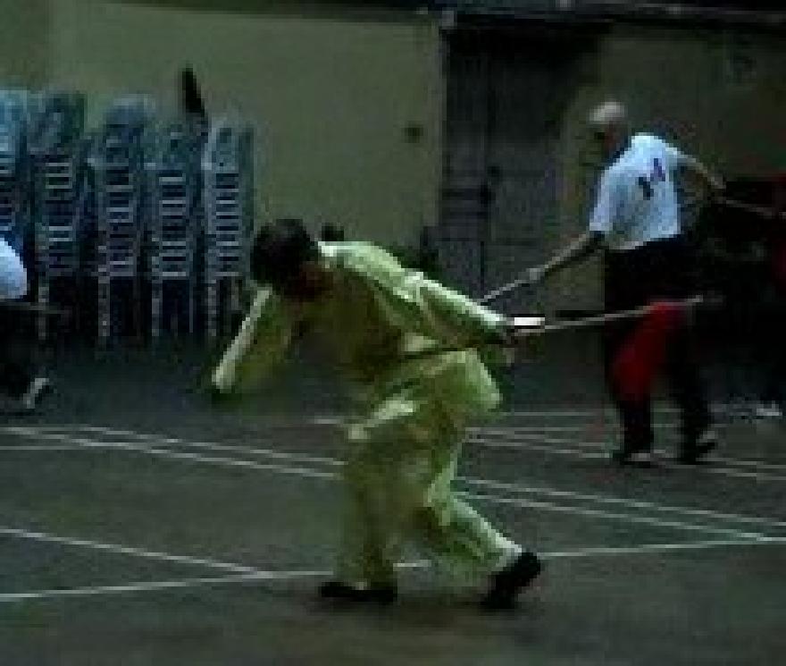 Traveling Dragon Thirteen-Technique Spear