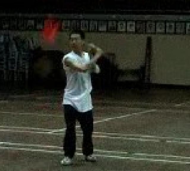 Traveling Dragon Thirteen-Technique Spear