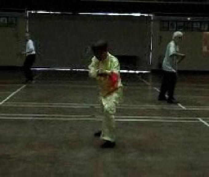 Traveling Dragon Thirteen-Technique Spear