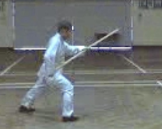 Flowing Water Staff