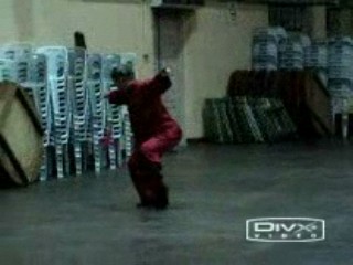 &ldquo;Shaolin