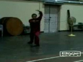 &ldquo;Shaolin