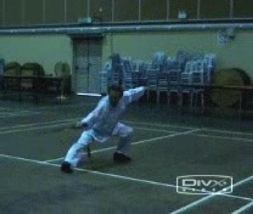 &ldquo;Shaolin