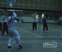&ldquo;Shaolin
