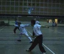 &ldquo;Shaolin