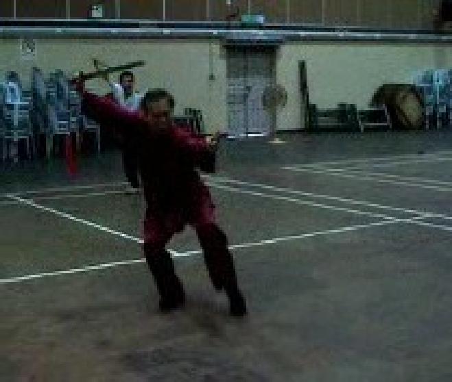 Shaolin Traveling Dragon Sword