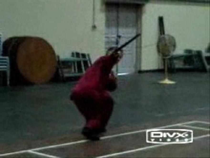 Shaolin Traveling Dragon Sword