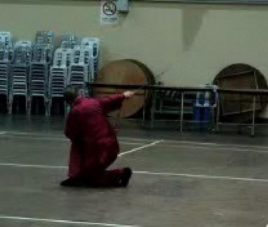 Shaolin Traveling Dragon Sword