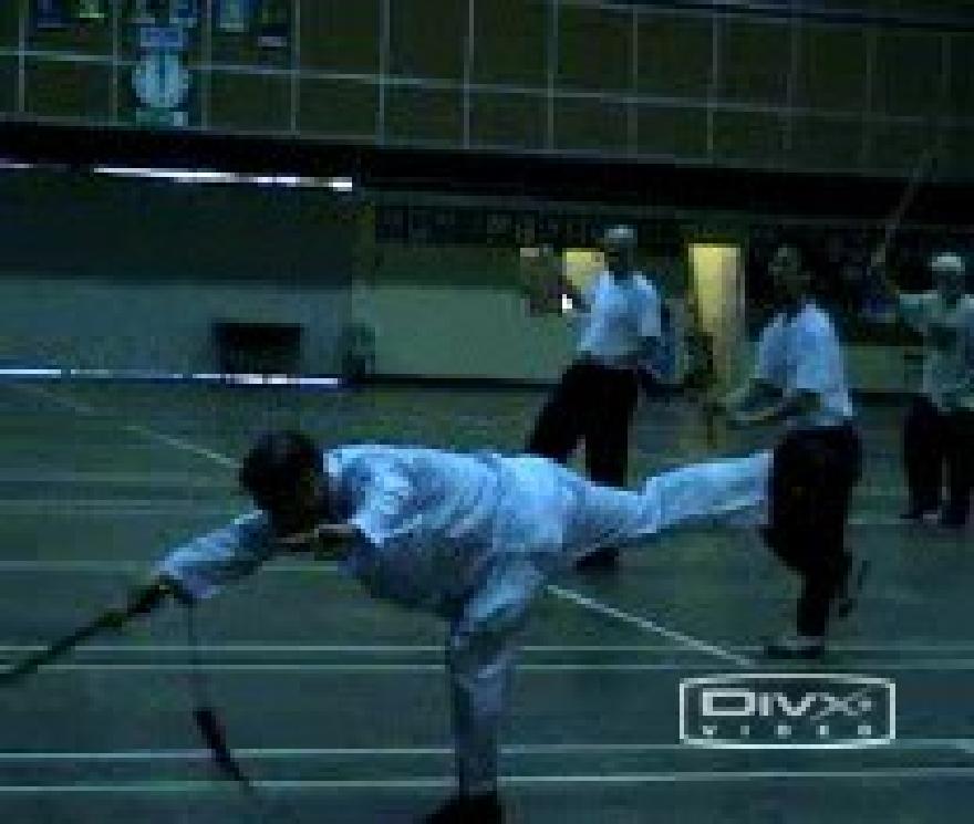 Shaolin Traveling Dragon Sword