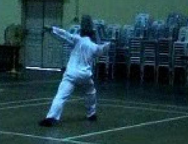Shaolin Traveling Dragon Sword