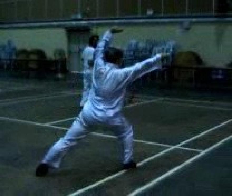 Shaolin Traveling Dragon Sword