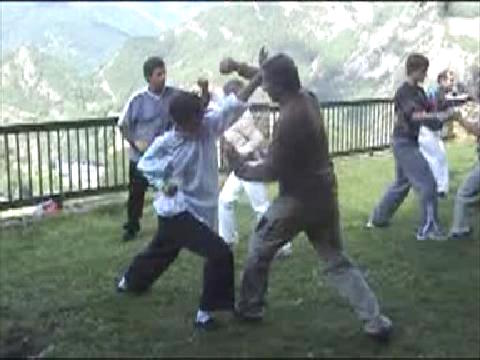 Combat Application in Shaolin Kung Fu