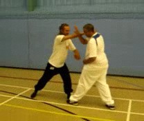 &ldquo;Shaolin