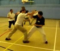 &ldquo;Shaolin
