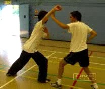 &ldquo;Shaolin