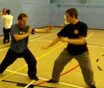 &ldquo;Shaolin