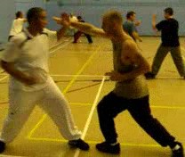 &ldquo;Shaolin