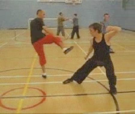 Taijiquan free sparring