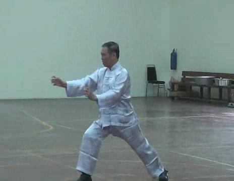 Shaolin Chin-Na