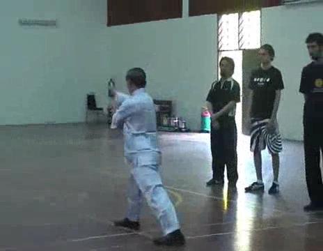 Shaolin Chin-Na