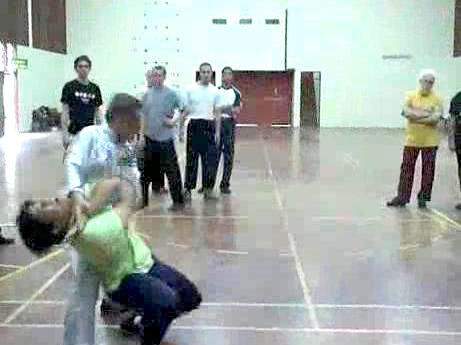 Shaolin Chin-Na