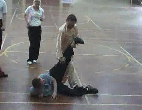 shaolin chin-na