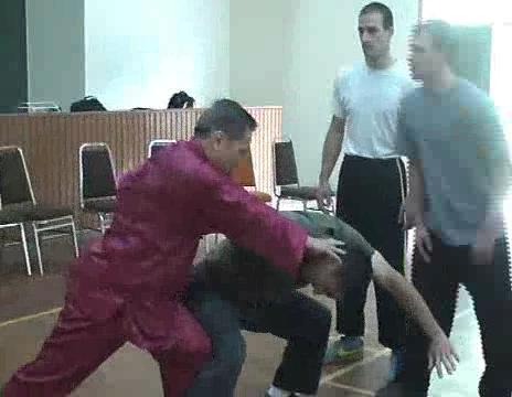 shaolin chin-na