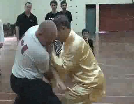 shaolin chin-na